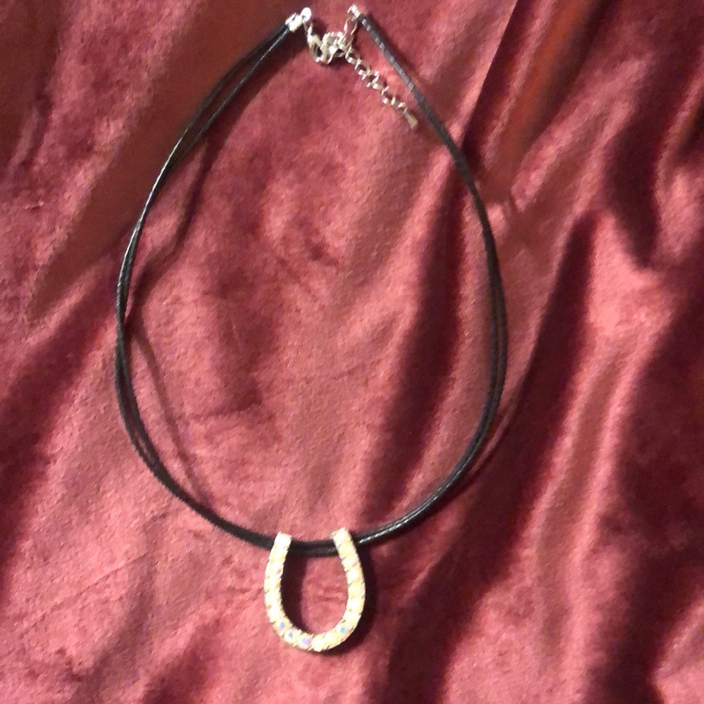 NWT iridescent horseshoe necklace